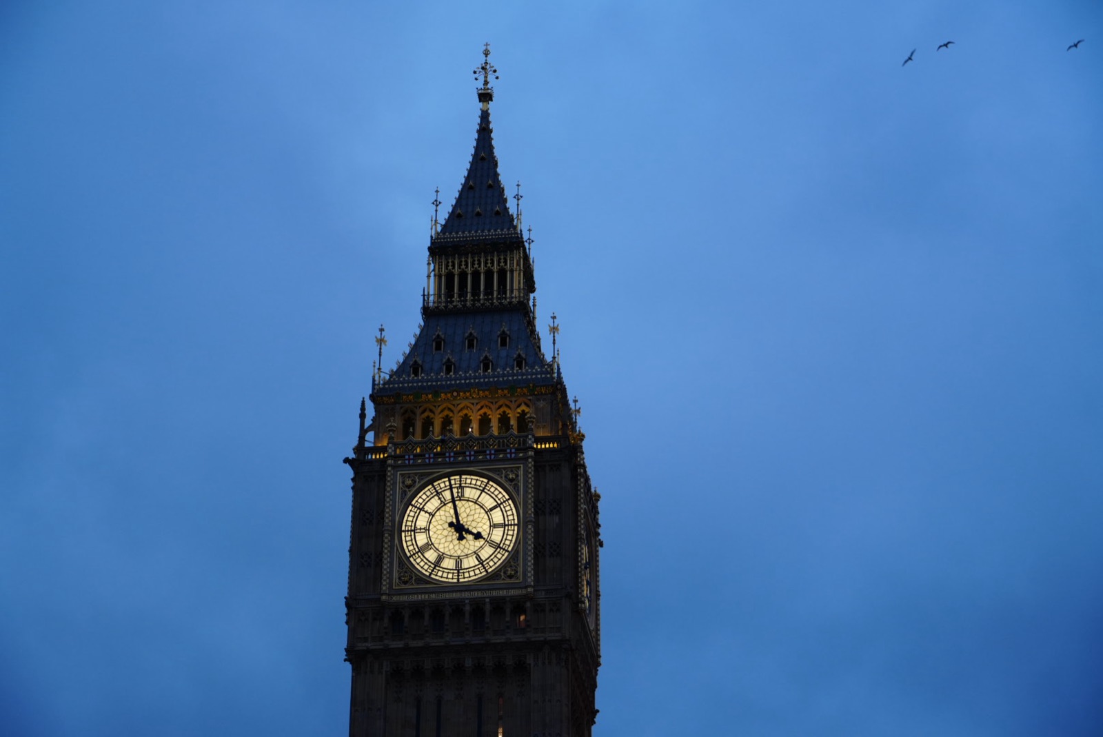 Big Ben clock tower at twilight with two birds in the deep blue sky