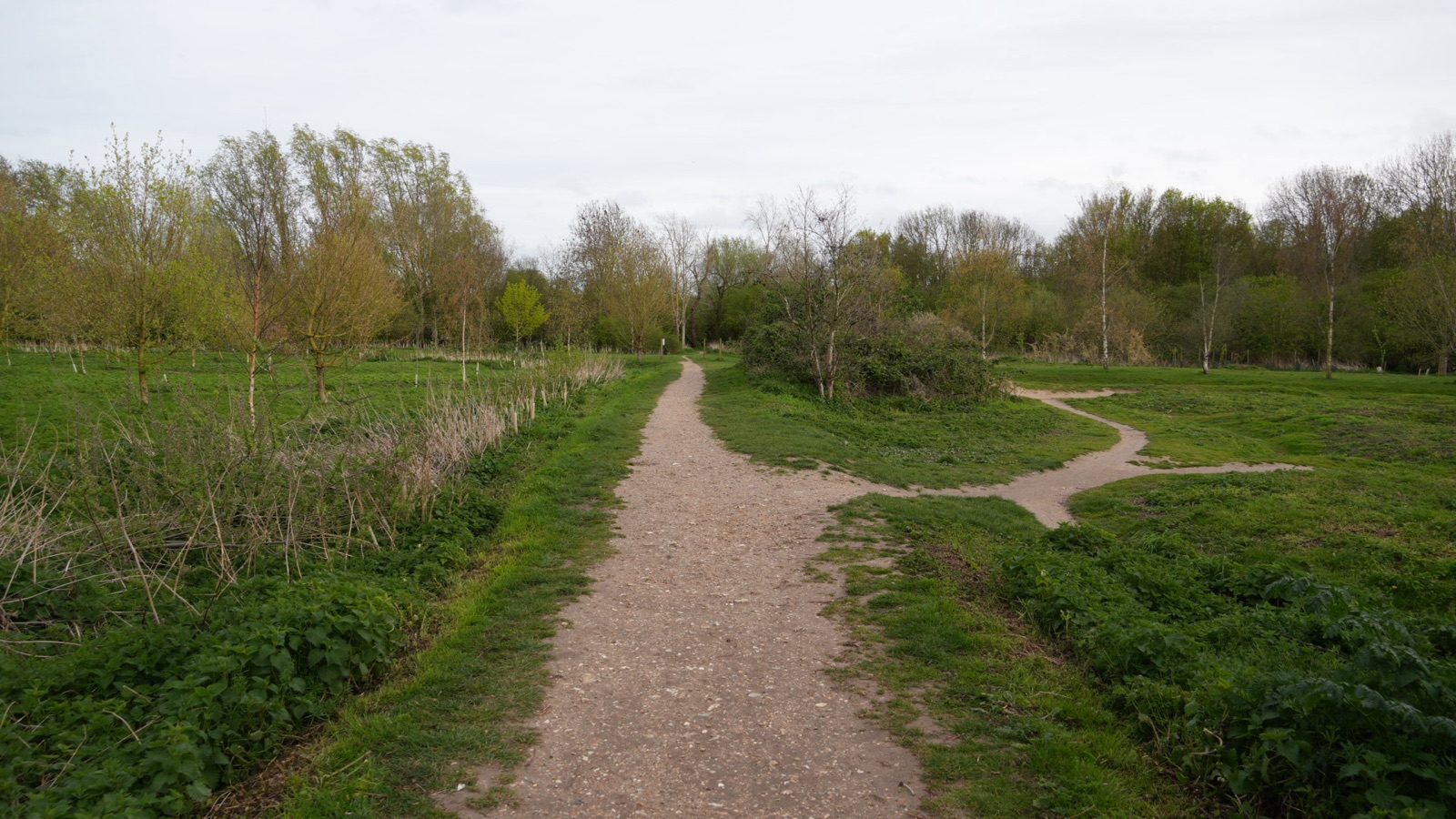 A gravel path branching through a scrubby English meadow under a soft sky